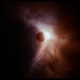 Illustration for article titled TMZ finds Terrence Malick in the stillness, yet it cannot see the glory